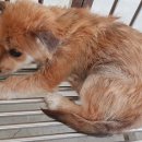 의령읍사무소 이미지