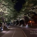 일산북쪽화장실 이미지