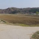 환경체육단지 다목적구장 이미지