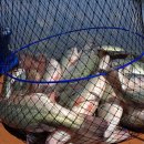 하와이낚시터 이미지