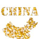 중국식품 이미지