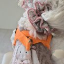 팔레트멍 | ☘️ 강아지 앞섬방지 하네스 추천｜루비 말티푸 착용샷 &amp; 멍템 팔레트 하네스 🐾