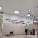 홍삼매대
