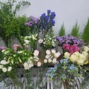 꽃을닮다루체테플라워 이미지