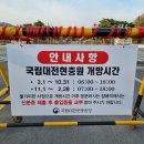 대전 3월 꽃구경 볼거리 매화 명소 국립대전현충원 개화시기 봄꽃 구경 여행