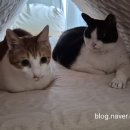 세탁하는날 이미지