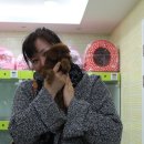 이마트 에브리데이 작전점 | 인천 계양구 서운동 강아지분양 마르티즈(말티즈) 요크독^^