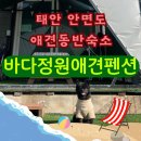 충남 태안 안면도 애견동반 바다정원애견펜션ㅣ무한리필바베큐 가성비 숙소