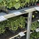 이상태농장 이미지