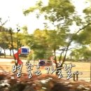 다인머리하는집 이미지