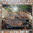 황제능이버섯 백숙 이미지