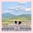 단양수도지사 2층 | 단양 호텔 풀빌라 펜션 프라이빗 인피니티 풀 사우나까지 완벽한 빌라마르디