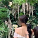 [Wedding #14] 웨딩촬영 헤어변형 ‘체인지비비드’ 이슬 실장님 내돈내산 후기