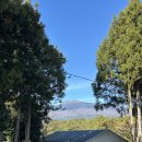 남원읍-75 | 제주 담소요 카페 후기｜제주 감성 가득한 조용한 힐링카페, 제주여행 필수 코스