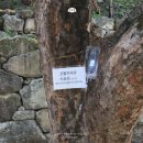 (주)소적두 농업회사법인 이미지