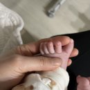 4월은 행복행 열차타기