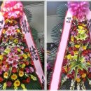 대성식물병원 이미지