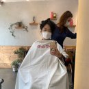 박순주헤어 이미지