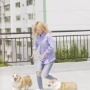 행운이랑대박이랑