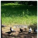 큰길공인중개사사무소 이미지