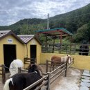 다솔농장 이미지