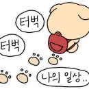포프(POF) 이미지