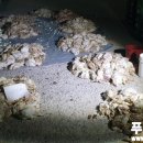 참프레푸드 이미지