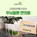 브레인리더한의원 이미지