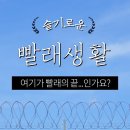슬기로운세탁생활 이미지