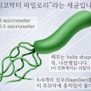 아리스휘트니스 이미지