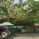 재우농장 이미지