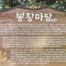 계족산에서 연꽃 구름을 보다