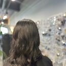 바오헤어(Bao hair) 이미지
