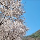 패누