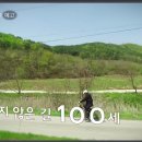 100세프라임