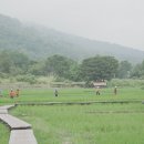 킹콩게스트하우스
