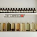 멜리비 이미지