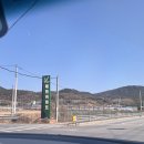 매화마트 이미지