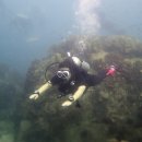 바다생각 이미지