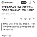 알제리, UAE에 국교 단절 선언... "양국 관계 유지 수단 모두 소진돼" 이미지