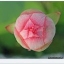 뚝길따라 이미지