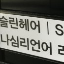 로슬린헤어 이미지