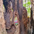 사창리마을회 이미지