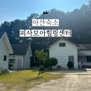 피사모아 | 아산여행 숙소 :: 피사모아힐링센터 다녀온 후기