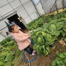 정후농장 이미지