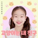 내친구고양이
