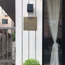 오린지 이미지