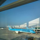 그리니보울 | 도쿄 여행