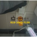 주원전기 이미지