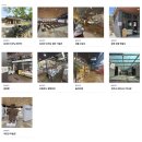 천주교삼성동성당 앞 | 당진 천주교 성지순례 코스 📌 솔뫼성지·신리성지·합덕성당 하루 여행 완벽 가이드